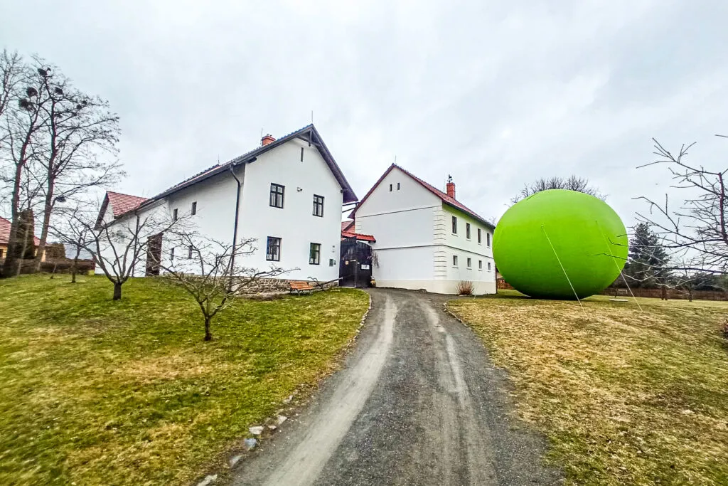 Cesta hrášku