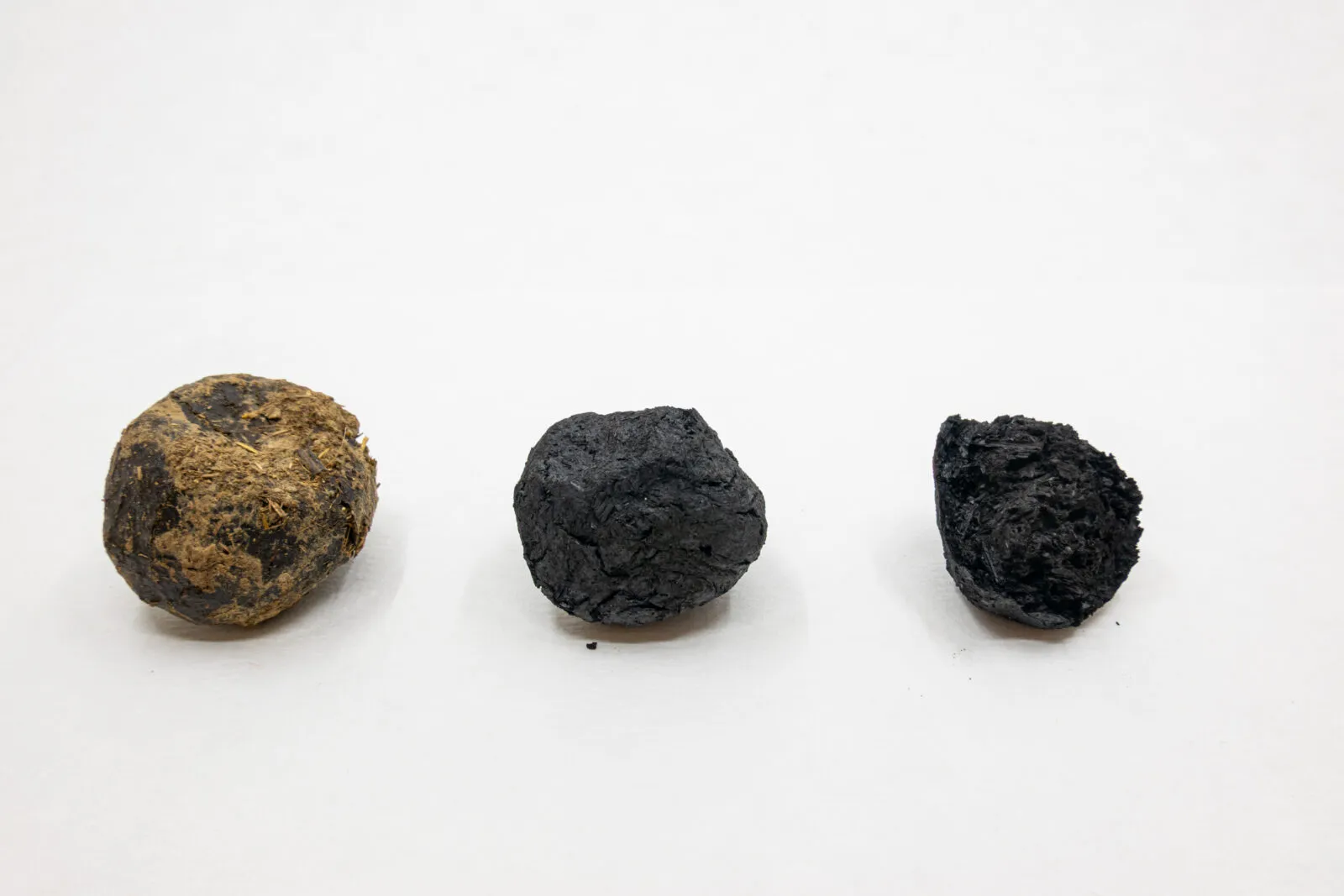 Cesta trusu
