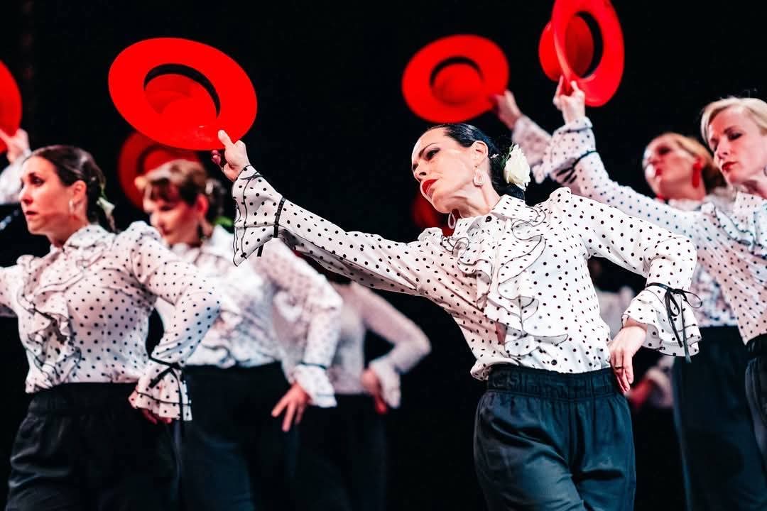 FLAMENCO – PASOS de la vida